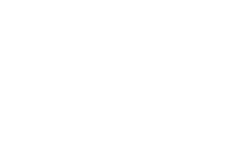 WT Interactive